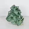 Hojas de Ceja de Begonia Simuladas Hojas de Sandía Plantas Plantas Verdes Falsas Paisajismo Colgante en Maceta Micro Paisaje Hojas Decorativas