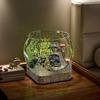Tanque de peixes de mesa, escritório, sala de estar, pequeno, ecológico, vista, paisagem, aquário de peixes dourados, doméstico, transparente, criativo, resistente a quedas, aquário