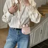 Bolso Mini de Moda de Nicho para Mujer 2026 Nuevo Elegante Versátil Chic con Lazo Bolso de Hombro Cruzado Bolso para Lipstick
