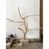 Ramas Secas Jaula para Pájaros Soporte de Luz Ramas de Hueso de Dragón Natural Ramas Muertas Arte Floral de Interior Suministros para Pájaros Decoración Nórdica Paisajismo Tela de Seda