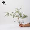 Planta Verde Artificial Grama de Noiva Padrão de Galho Curto Folha de Bambu Galhos Chineses Vaso para Sala de Estar Arranjo de Flores Posicionamento das Folhas Decoração para Fotografia