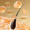 Champú de Hoja de Platycladus Arborvitae, Jengibre y Polygonum Multiflorum, Fortalece y Previene la Rotura del Cabello, Nutre el Cabello, Elimina la Caspa, Alivia la Picazón, Controla la Grasa, Herbal, Voluminizador