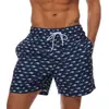 Calções de Praia Masculinos Transfronteiriços Estampados 3D Tamanho Grande Secagem Rápida Calções de Natação Série Frutas Flamingo Calções de Praia