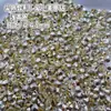 Decoraciones de Uñas con Forma de Corazón Coloridas de Fondo Puntiagudo con Pedrería Mezcla Multicolor de Corazones Pequeños Color Durazno Pedrería de Cristal Apilados de Pedrería Accesorios de Pedrería de Forma Irregular