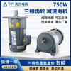Motorreductor Tvt Tianli trifásico 380V máquina vertical reguladora de velocidad máquina asíncrona monofásica al por mayor en stock