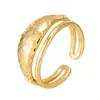 Anillo Abierto de Doble Capa de Plata de Ley S925 Hielo Triturado Modelo Nuevo para Mujer, Marca de Nicho Lujo Ligero Gama Alta