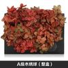 Hortensia de madera con degradado de color, flor eterna, rosa eterna, caja de regalo, material floral, flor seca, flor de preservación, material floral eterno
