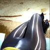 Fuente 2026 Nuevas Medias Fina de Seda con Aceite de Caballo 8D Se Pueden Insertar Usadas por Fuera Anti-enganches Duraderas Alta Elasticidad Aceite Dropshipping