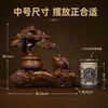 Árbol de la Riqueza Sapo Dorado Adorno Artesanal Tesoro del Hogar Chino Cuenco de Riqueza Tienda Nueva Recepción de Empresa Regalo de Apertura