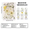 Flores secas, flores prensadas, flores prensadas DIY, espécimes de flores reais, folhas reais prensadas, marcadores de página de resina, materiais de espécimes de plantas de flores reais