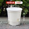 Vasos de Flores de Plástico para Venda por Atacado para Suculentas, Vasos Transparentes Altos para Controle de Raízes, Vasos para Amarílis e Orquídeas Phalaenopsis, Vasos Autoirrigáveis
