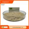 Astragalosídeo IV 1% /10%/20% 70% Extrato de Astragalus Pó de Astragalus Biológico Haoze Polissacarídeo de Astragalus