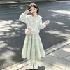Conjunto de Duas Peças Moda Outono/Inverno 2026: Blusa Doce e Fofa de Manga Longa para Dama com Saia de Laço