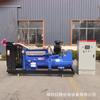 Grupo electrógeno de 200 kW más conmutación automática ATS Generador de respaldo para sitio de Hotel Inmobiliario