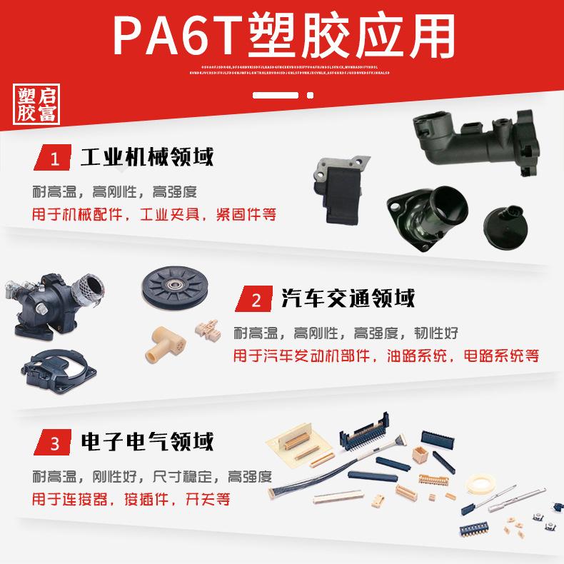 PA6T-2应用领域