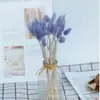 Liquidação de Fábrica Flores Secas de Yunnan Capim Rabo de Coelho Flores Reais Capim Rabo de Raposa Amazon Flores Imortais Capim Rabo de Coelho Flores Secas