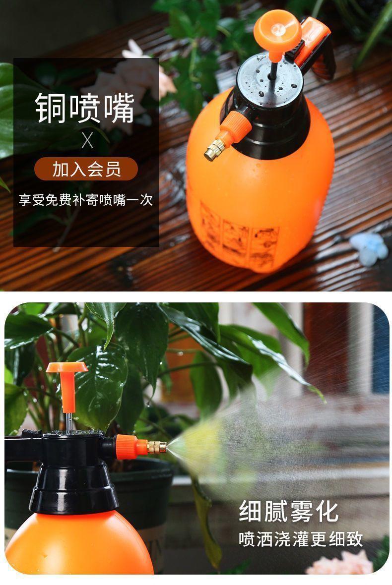 11df8a33-092f-4164-8f6c-9cadf974dd18.jpe