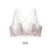 Sujetador de espalda bonita para mujer 2026 verano estilo fino copa de oreja de conejo tirante de encaje sexy francés sujetador inalámbrico de deseo puro
