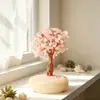 El fabricante está vendiendo grava de cristal natural, figuritas de árbol de la fortuna, bases de grava de porcelana blanca y rodajas de ágata, que se utilizan como decoraciones de oficina para atraer la riqueza.