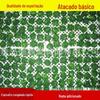 Espinafre congelado rápido em bola, bola de folha inteira 15-35g, matérias-primas para sopa fresca