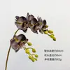 Orquídea Borboleta Miniatura Flor Artificial de EVA, Orquídea Aranha, para Arranjos de Casamento, Decoração de Casa e Design Floral - Haste Única
