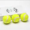 20 Pacotes Frete Grátis Bola de Treinamento de Tênis para Crianças Cachorros Durável Resistente à Mordida Tênis Iniciante Alta Elasticidade Prática Massagem Bola de Fitness