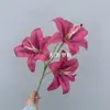 Simulación Boda China Nueva Arreglo de Boda Arreglo Rojo Fondo Rojo Material de Flores Banquete de Bodas de Nicho Arte Floral de Simulación