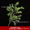 Ciber Celebrado Planta Verde Capim Lixiviado Aracus Monet Jardim Janela Paisagem Casamento Flor de Casamento Arte Flor Arranjo