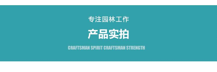 剪定锯详情_13.jpg