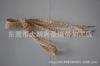 Cordones de zapatos con impresión por transferencia térmica por sublimación de fábrica, serigrafía, núcleo hueco, cinturón plano, se pueden tejer varios estilos de cordones de zapatos