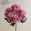 5 Ramos de Hortênsia Europeia Flores Artificiais Transfronteiriças Fabricante Decoração de Casa Buquê de Casamento Parede de Rosas Flores Falsas Ins
