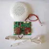 Módulo de Voz DIY de Detecção Corporal Humana Luz Controlada Magneticamente Cartão de Cumprimentos com Movimento de Alta Qualidade Download USB Cartão de Cumprimentos Mp3 de Aniversário