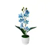 Día de Año Nuevo Top Grande Fondo Pequeño 7 Orquídeas Phalaenopsis Bonsái Decoración de Jardín para el Hogar Flor de Simulación Planta Verde Planta en Maceta Adorno
