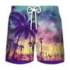Pantalones de playa deportivos de ocio para hombre, venta al por mayor, impresión digital 3D, para vacaciones de verano en la playa, 2023