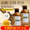 Shampoo de folha de Platycladus orientalis, cuidado capilar à base de plantas, controle de oleosidade, refrescante, anticaspa, antialergia, antiqueda e contra quebra de cabelo com Polygonum multiflorum e gengibre