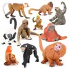 Conjunto de 10 Peças de Figuras Realistas de Macacos  Orangotangos Gibbons Macacos-Narigudos Langures-Dourados Preguiças e Lêmures de PVC  Brinquedos Educacionais de Animais Fig