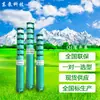 Bomba Eléctrica Sumergible Multietapa para Pozos Profundos Qj de Shandong Dongpump, Bomba de Alto Levantamiento para Riego Agrícola, Suministro del Fabricante
