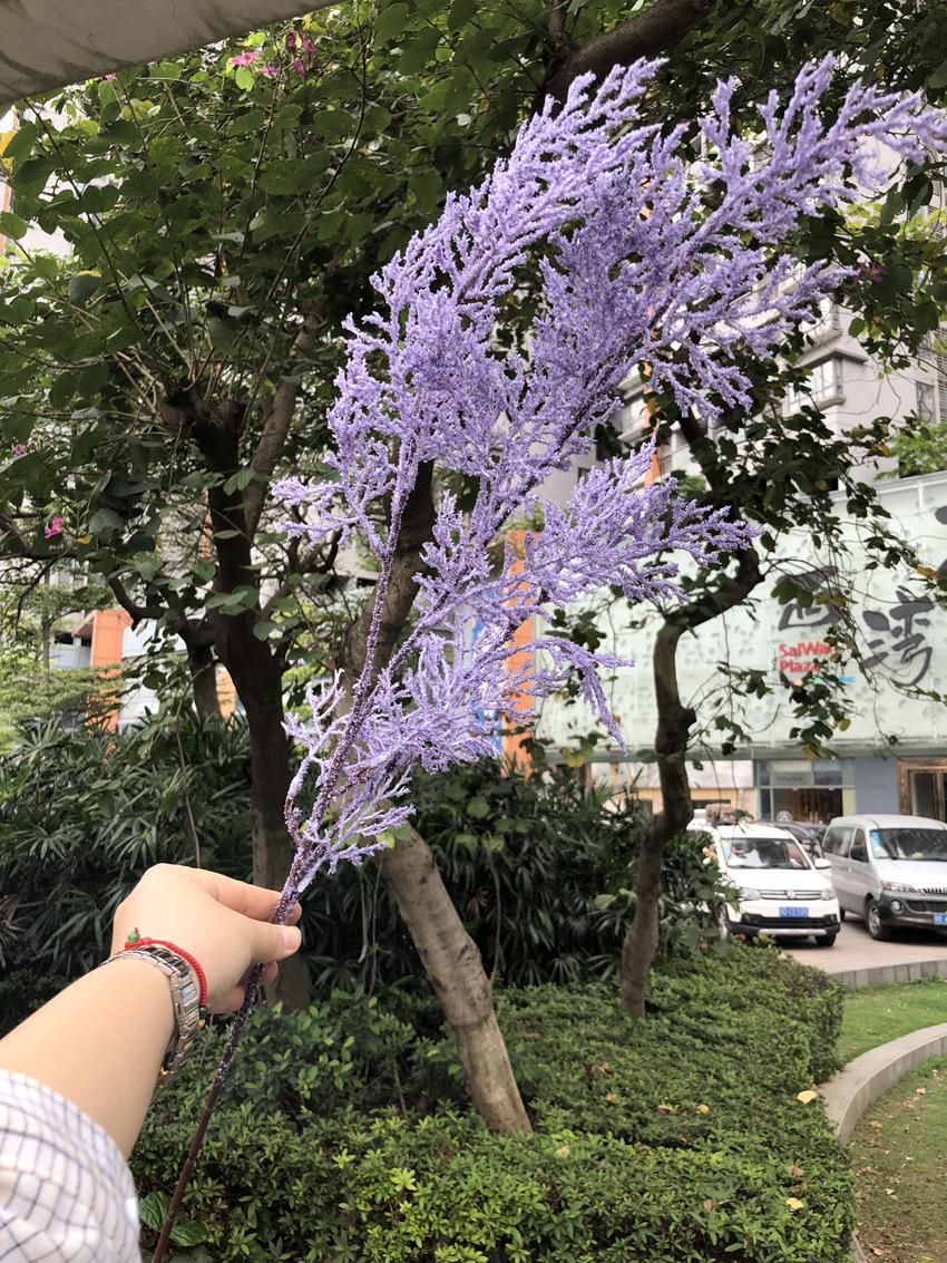 微信图片_20190411170817