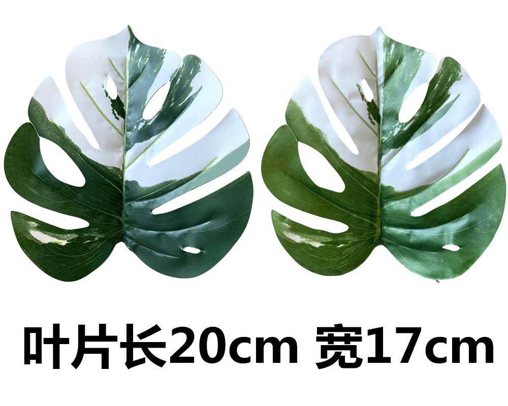 未命名_副本62