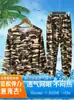 Traje Camuflado de Comercio Exterior para Verano y Primavera para Hombre de Manga Larga Pantalones Elásticos Delgados de Seda de Hielo Deportivos Casuales Camiseta Transpirable para Hombre