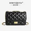 Bolso de cadena para mujer, bolso cruzado de verano, bolso pequeño de moda nuevo y moderno 2025, bolso acolchado texturizado estilo Chanel para mujer