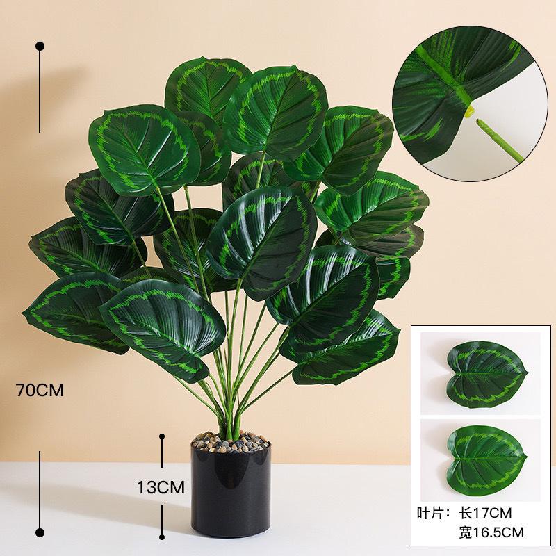 9c20c13d-4405-4fb2-a5f7-d86f1886afe7.jpe