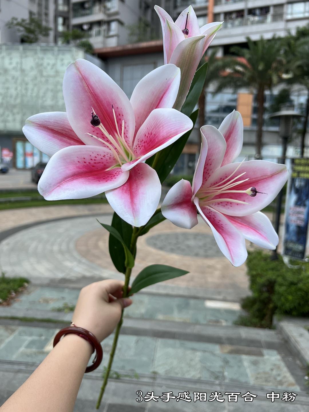 微信图片_20220605142958.jpg