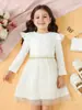Vestido de Manga Larga con Borde de Loto para Niña de Marca Independiente 2026 con Falda de Malla Elástica Acanalada Fluida de Corte A