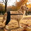 Cubiertas para Patas Delanteras, Codos y Rodillas para Perros Medianos y Grandes de Primavera y Verano, Anti-Mordiscos y Anti-Desgaste, Pastor Alemán, Golden Retriever, Labrador