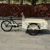 Andar de Triciclo Reverso, Bicicleta Triciclo Reverso, Triciclo com Assistência Elétrica, Triciclo Vintage, Adereços Populares para Vendedores de Rua, Mercado Noturno de Comida