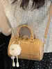 Elegante Bolso Almohada 2025 Nuevo Bolso Bolso de Mano para Mujer para Ir al Trabajo Bolso de Hombro Cruzado para Mujer Ligero Elegante a la Moda
