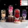 Estrelas criativas flor seca tampa de vidro luminosa rosa flor eterna decoração de mesa luz noturna fonte de fábrica atacado