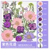 Paquete de Materiales DIY de Flores Secas Flores Prensadas Hechas a Mano Flores Conservadas Marcadores de Libros de Flores Prensadas Hojas de Árbol Real Plantas Pegatinas de Resina Maquillaje Facial