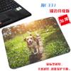 [Uma geração de cabelo] pequeno fofo fofo cachorro e-sports mouse pad quadrado simples casa portátil pad de computador